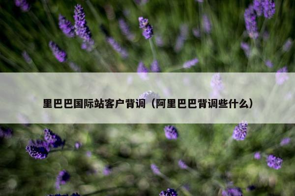 里巴巴国际站客户背调（阿里巴巴背调些什么）