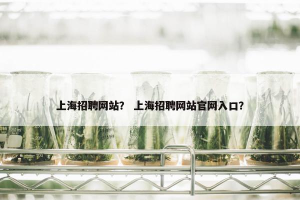 上海招聘网站？ 上海招聘网站官网入口？