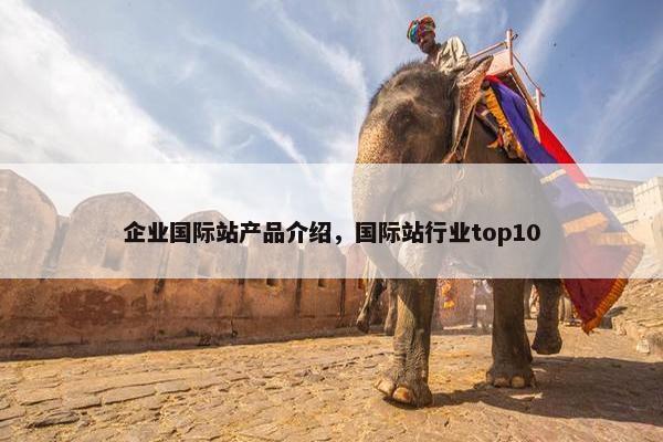 企业国际站产品介绍，国际站行业top10