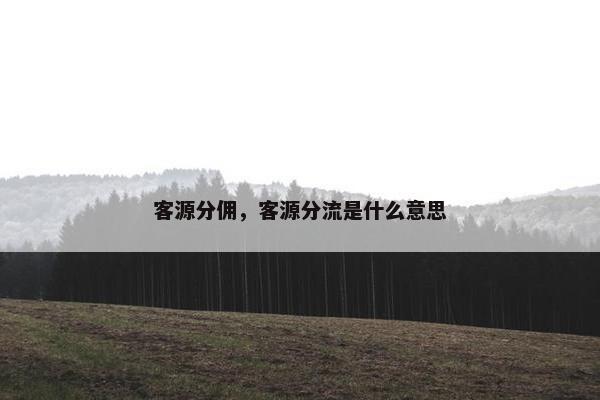 客源分佣，客源分流是什么意思