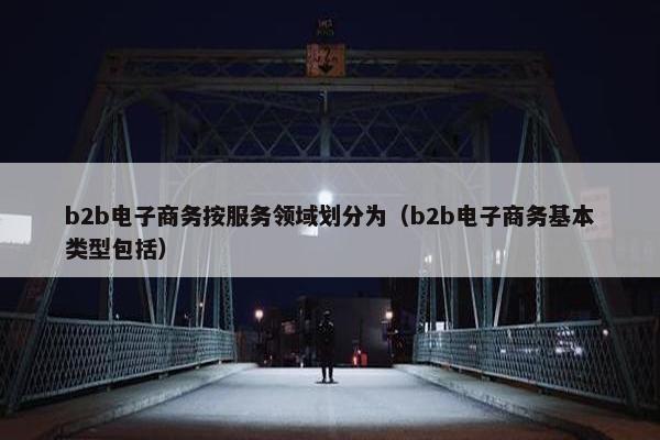 b2b电子商务按服务领域划分为（b2b电子商务基本类型包括）