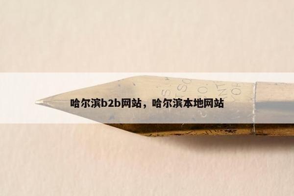 哈尔滨b2b网站，哈尔滨本地网站