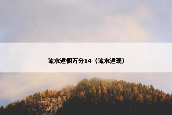 流水返佣万分14（流水返现）