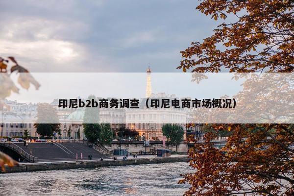 印尼b2b商务调查（印尼电商市场概况）