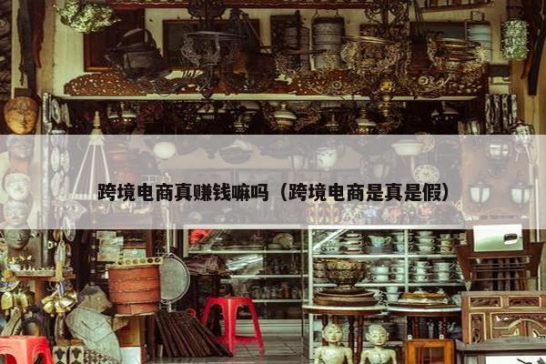 跨境电商真赚钱嘛吗（跨境电商是真是假）