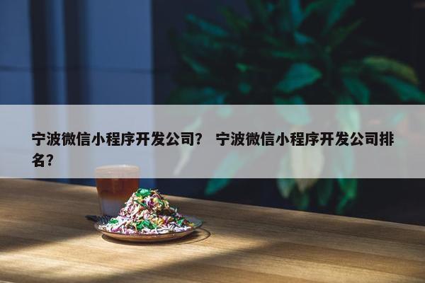 宁波微信小程序开发公司？ 宁波微信小程序开发公司排名？