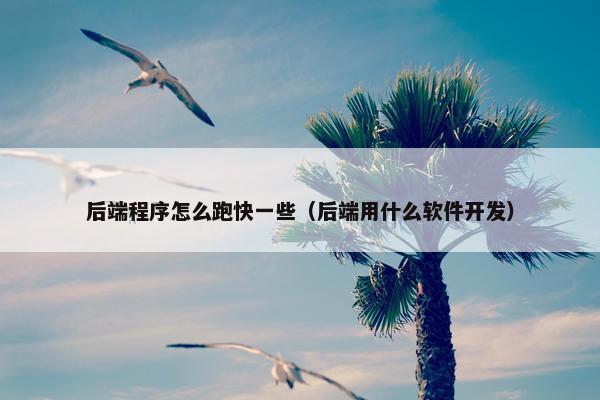 后端程序怎么跑快一些（后端用什么软件开发）