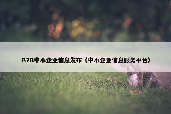 B2B中小企业信息发布（中小企业信息服务平台）