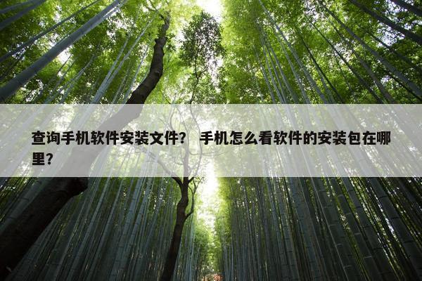 查询手机软件安装文件？ 手机怎么看软件的安装包在哪里？