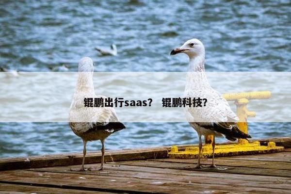 锟鹏出行saas？ 锟鹏科技？