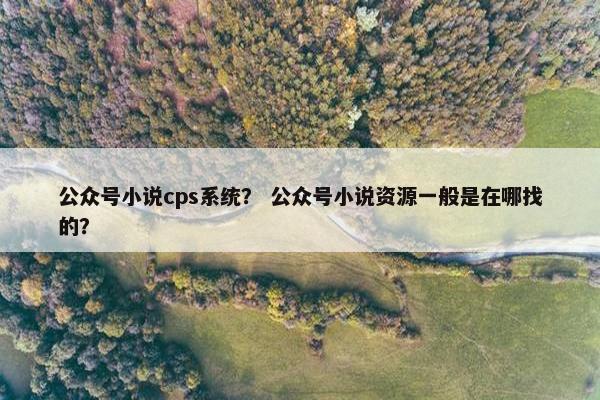 公众号小说cps系统？ 公众号小说资源一般是在哪找的？