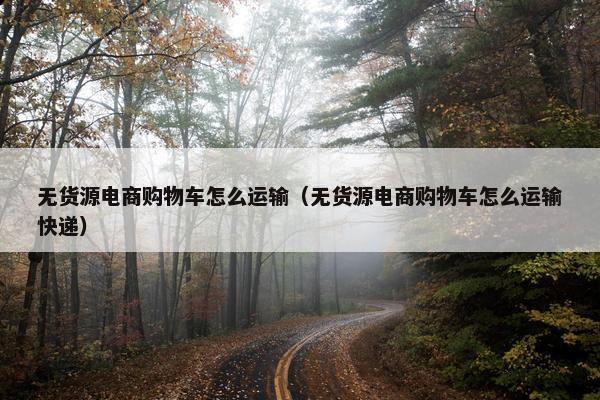 无货源电商购物车怎么运输（无货源电商购物车怎么运输快递）