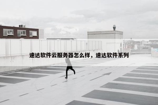 速达软件云服务器怎么样，速达软件系列