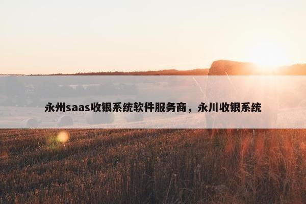 永州saas收银系统软件服务商，永川收银系统