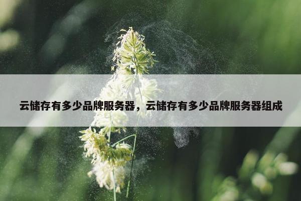 云储存有多少品牌服务器，云储存有多少品牌服务器组成
