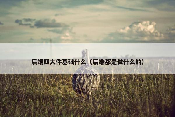 后端四大件基础什么（后端都是做什么的）