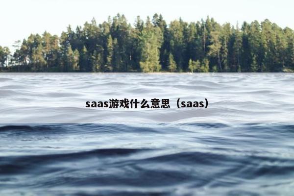 saas游戏什么意思（saas）