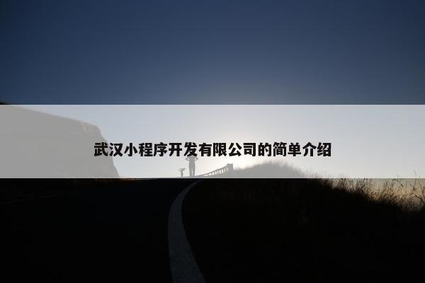 武汉小程序开发有限公司的简单介绍