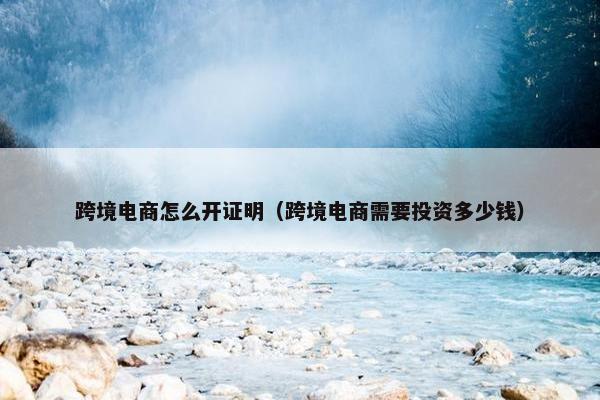 跨境电商怎么开证明（跨境电商需要投资多少钱）