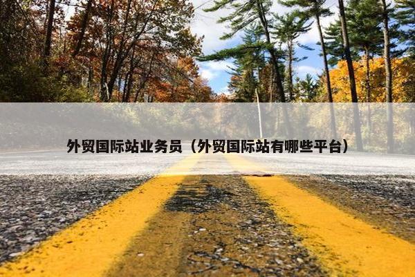外贸国际站业务员（外贸国际站有哪些平台）