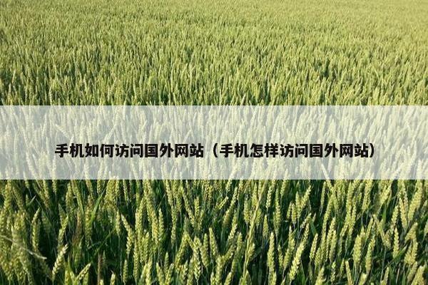 手机如何访问国外网站（手机怎样访问国外网站）