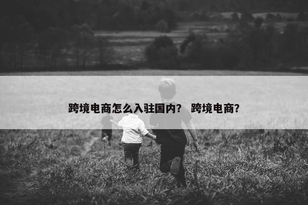 跨境电商怎么入驻国内？ 跨境电商？
