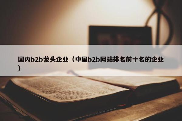 国内b2b龙头企业（中国b2b网站排名前十名的企业）