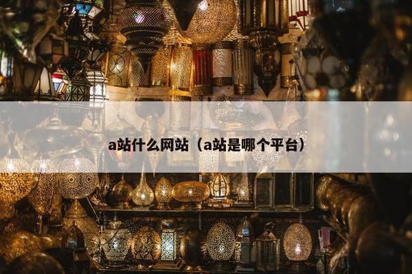 a站什么网站（a站是哪个平台）