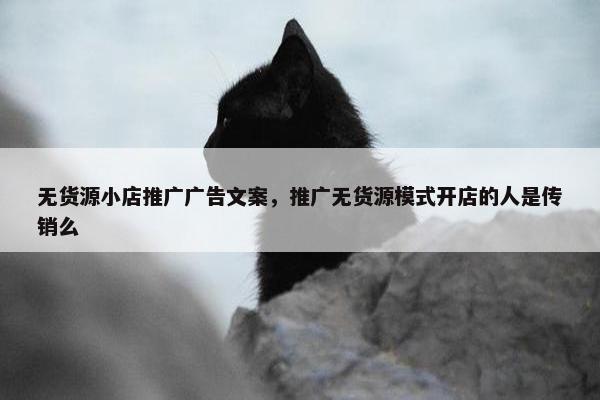 无货源小店推广广告文案，推广无货源模式开店的人是传销么