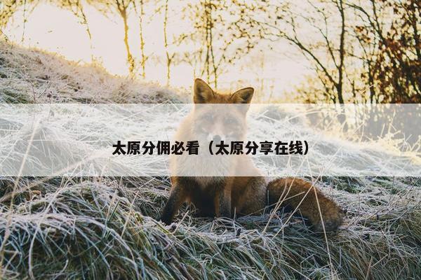 太原分佣必看（太原分享在线）