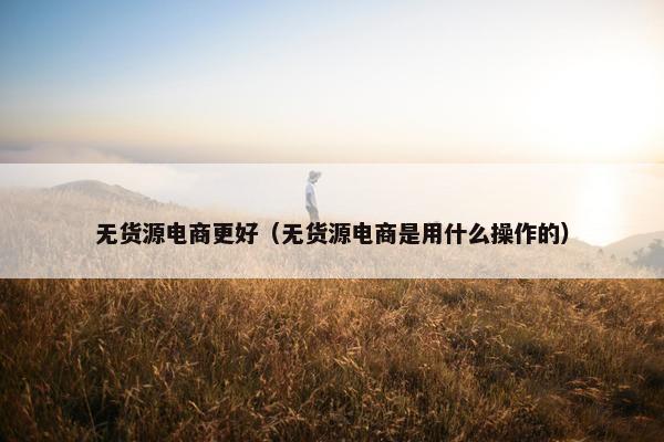 无货源电商更好（无货源电商是用什么操作的）