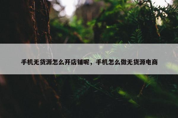 手机无货源怎么开店铺呢，手机怎么做无货源电商