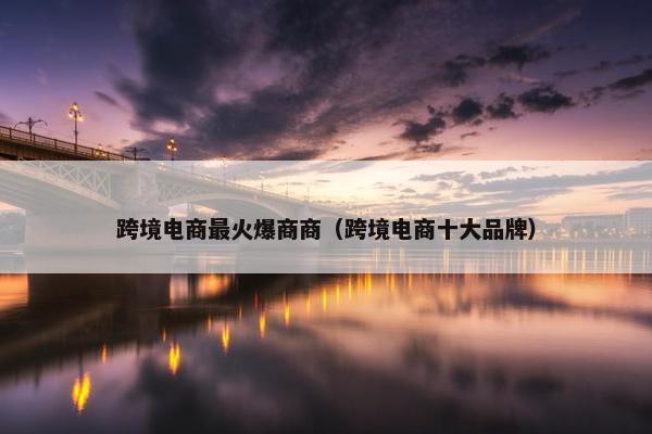 跨境电商最火爆商商（跨境电商十大品牌）