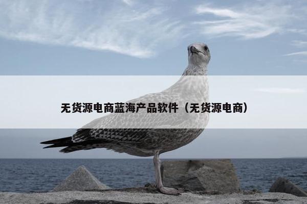 无货源电商蓝海产品软件（无货源电商）