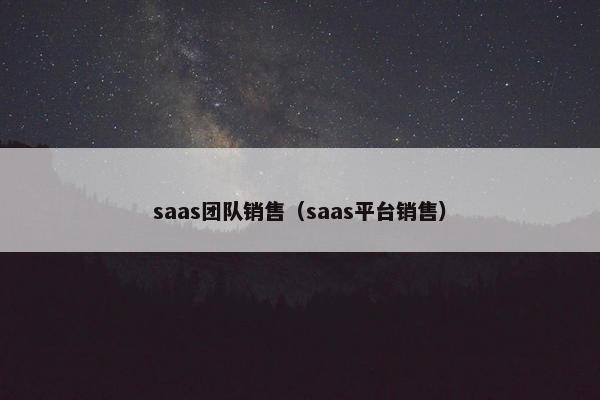 saas团队销售（saas平台销售）