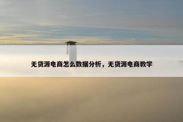 无货源电商怎么数据分析，无货源电商教学
