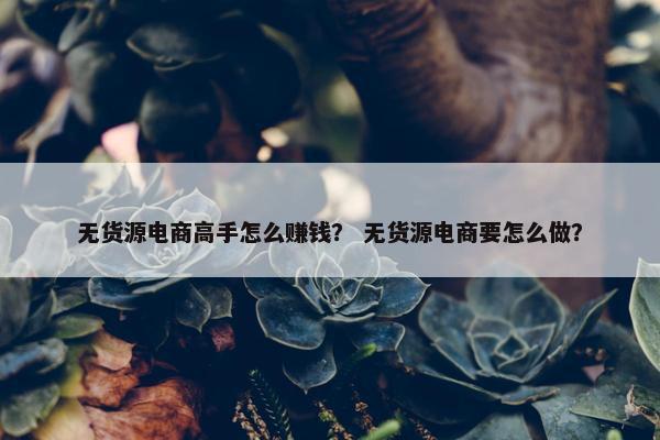无货源电商高手怎么赚钱？ 无货源电商要怎么做？