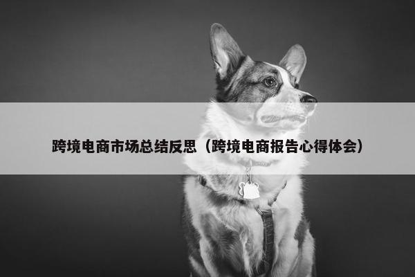 跨境电商市场总结反思（跨境电商报告心得体会）