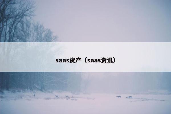 saas资产（saas资讯）