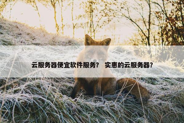 云服务器便宜软件服务？ 实惠的云服务器？