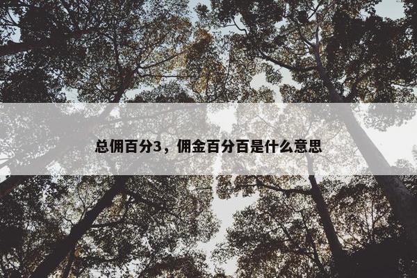 总佣百分3，佣金百分百是什么意思