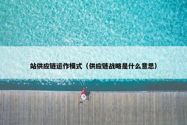 站供应链运作模式（供应链战略是什么意思）