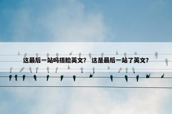这最后一站吗捂脸英文？ 这是最后一站了英文？