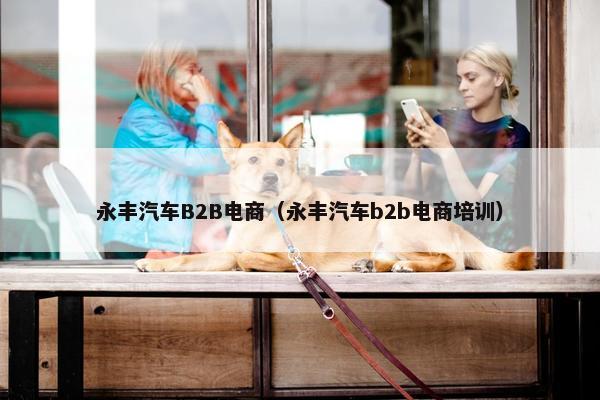 永丰汽车B2B电商（永丰汽车b2b电商培训）