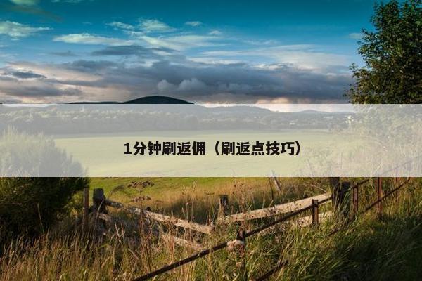 1分钟刷返佣（刷返点技巧）