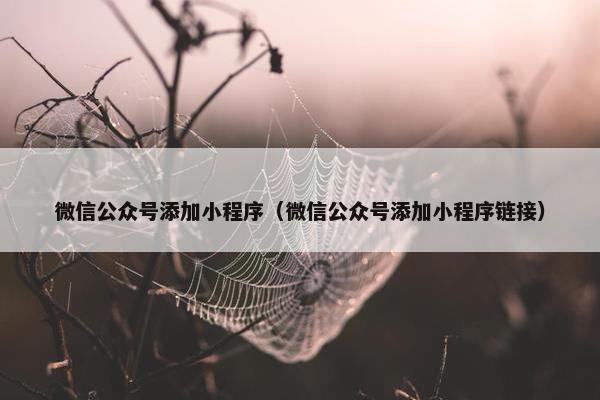 微信公众号添加小程序（微信公众号添加小程序链接）