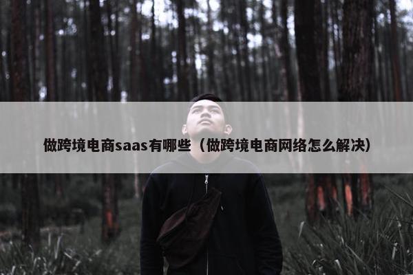 做跨境电商saas有哪些（做跨境电商网络怎么解决）