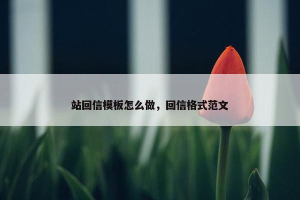 站回信模板怎么做，回信格式范文