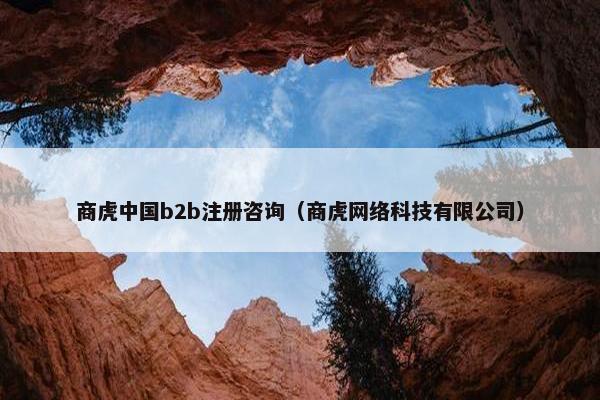 商虎中国b2b注册咨询（商虎网络科技有限公司）