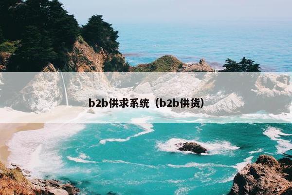 b2b供求系统（b2b供货）
